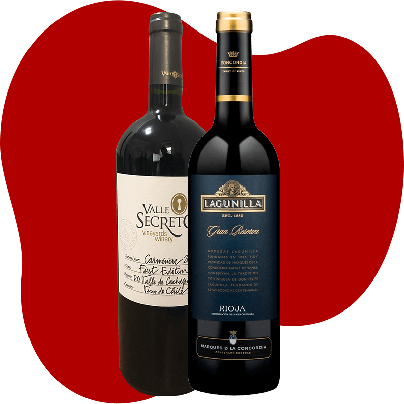 wine-home-clube-do-vinho-tituloclube-do-vinho-sommelier-agosto wine-home-clube-do-vinho-tituloclube-do-vinho-sommelier-agosto